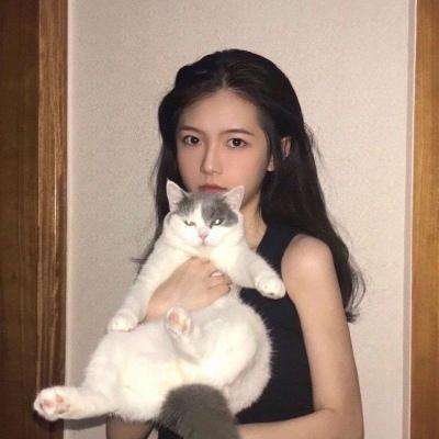 小冰刀塔官方版下载